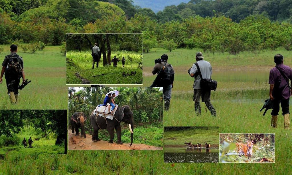 Jungle Park Resorts Thekkady Exteriér fotografie