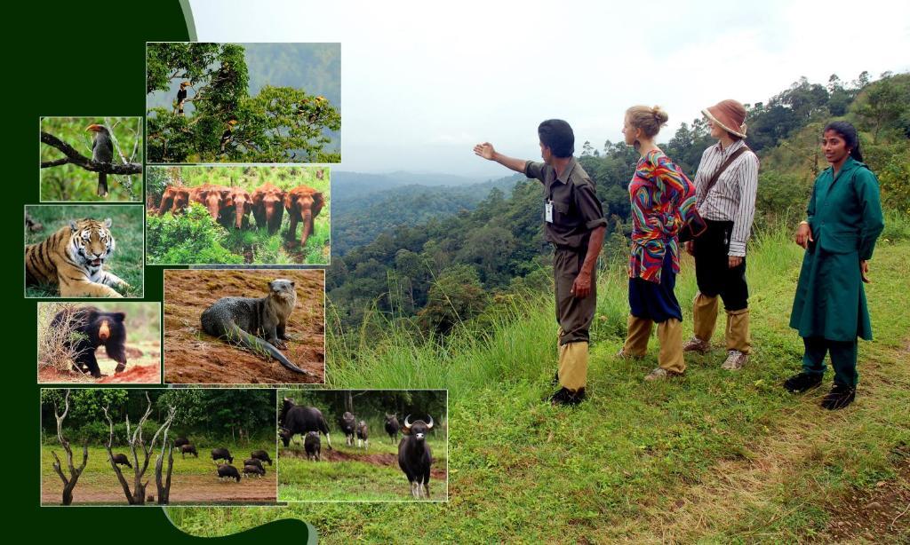 Jungle Park Resorts Thekkady Exteriér fotografie